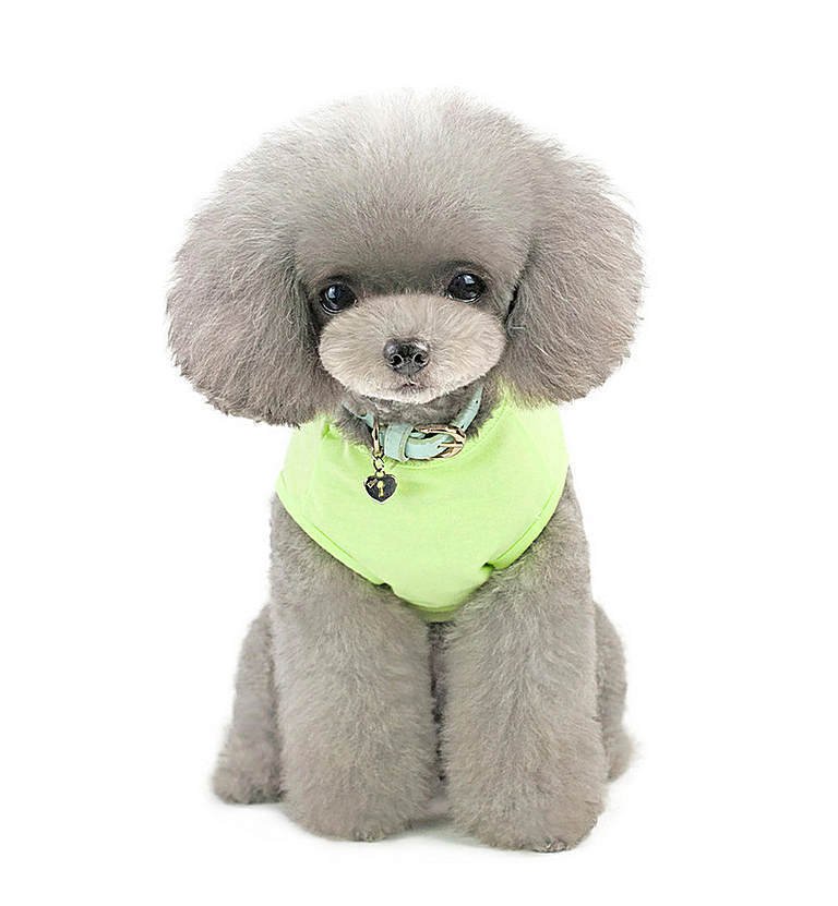 Köpek Küçük ve Orta Irk T-shirt Duck Yeşil