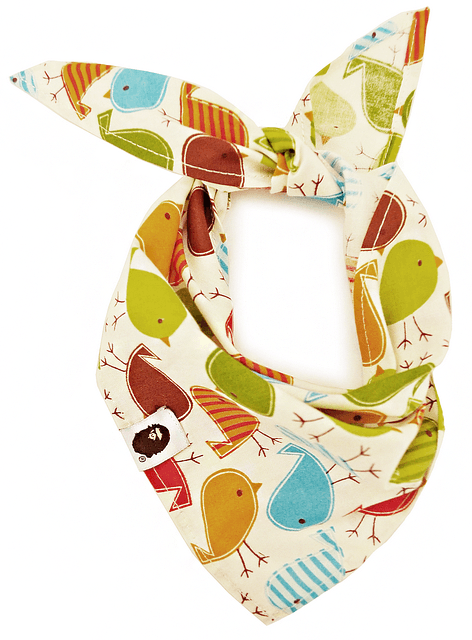 Köpek Bandana / Rena