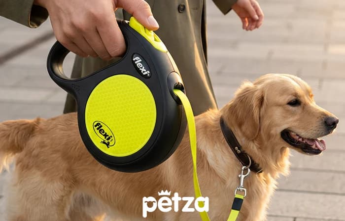Flexi Neon Sarı 