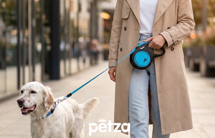 Flexi Neon Mavi Otomatik Köpek Gezdirme Tasması - Petza