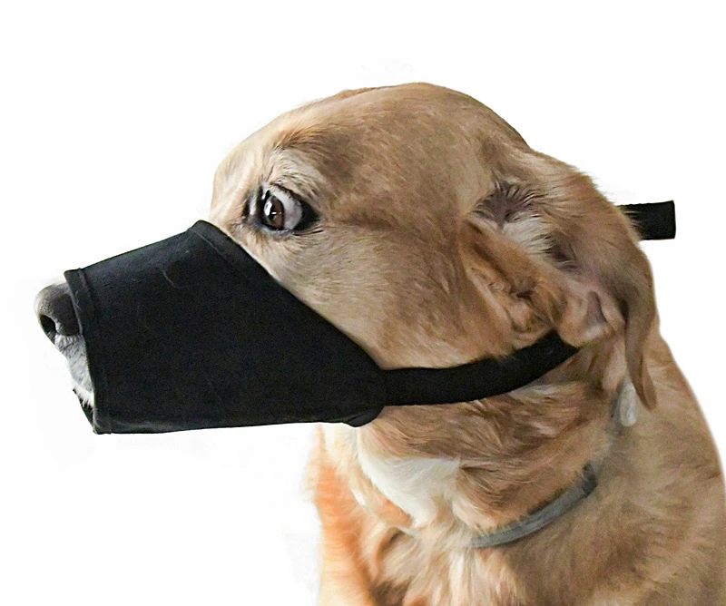 Köpek Ağızlık Hanta Ayarlanabilir