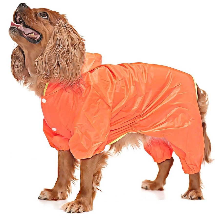 Küçük ve Orta Irk Köpek Paçalı Yağmurluk - Puka Turuncu
