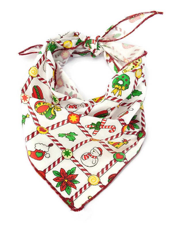 Köpek Bandana / Olger