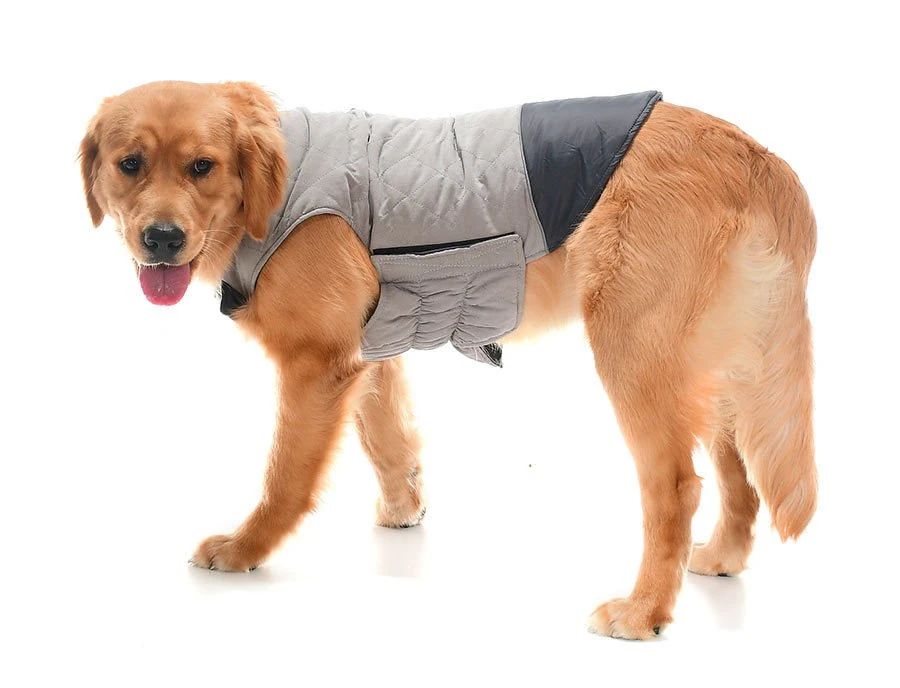 Orta ve Büyük Irk Köpek Mont - Nifler Gri