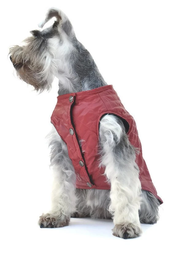 Köpek Küçük ve Orta Irk Deri Ceket Dabir