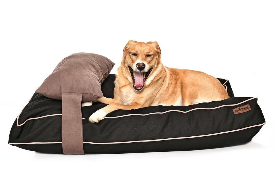 Köpek Yatağı ve Yastık Takımı - Spock Large