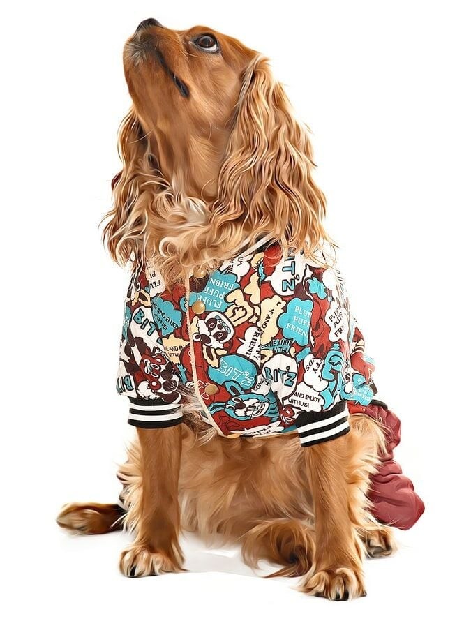 Küçük ve Orta Irk Köpek Paçalı Mont - Bado
