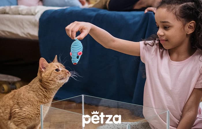 Seso Kedi Oyuncak Fare Mavi - Petza