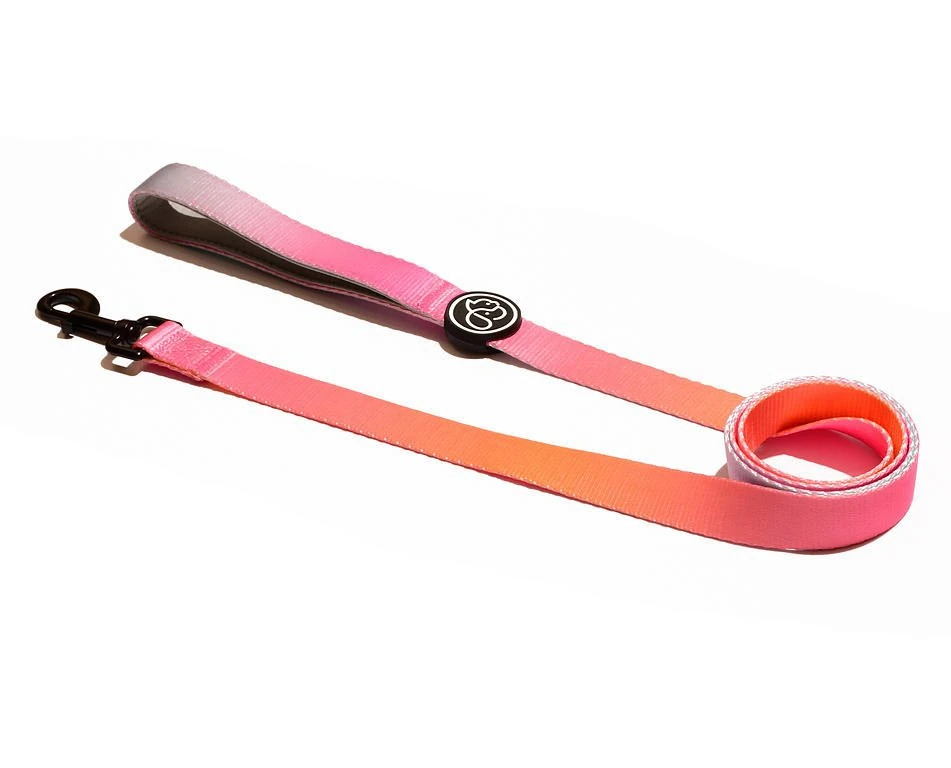 Köpek Gezdirme Tasması Loris