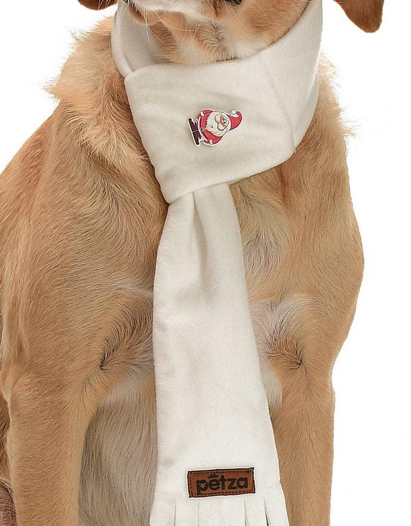 Polar Köpek Atkısı - Olut