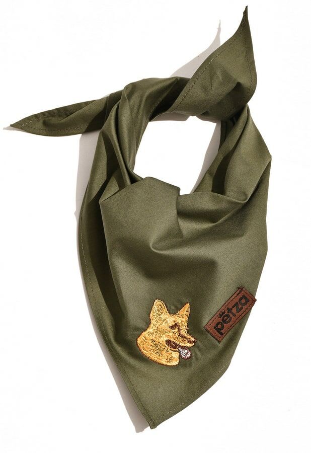 Köpek Bandana / Gurre