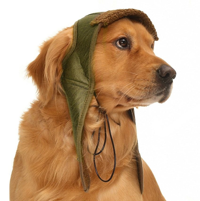 Küçük Orta ve Büyük Irk Köpek Şapka Pilot Yeşil