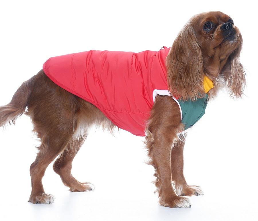 Küçük ve Orta Irk Köpek Mont Murpota Kırmızı