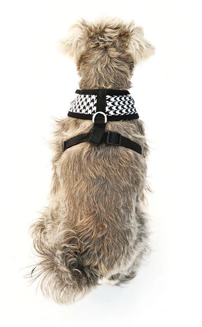 Groom Köpek Göğüs Tasması