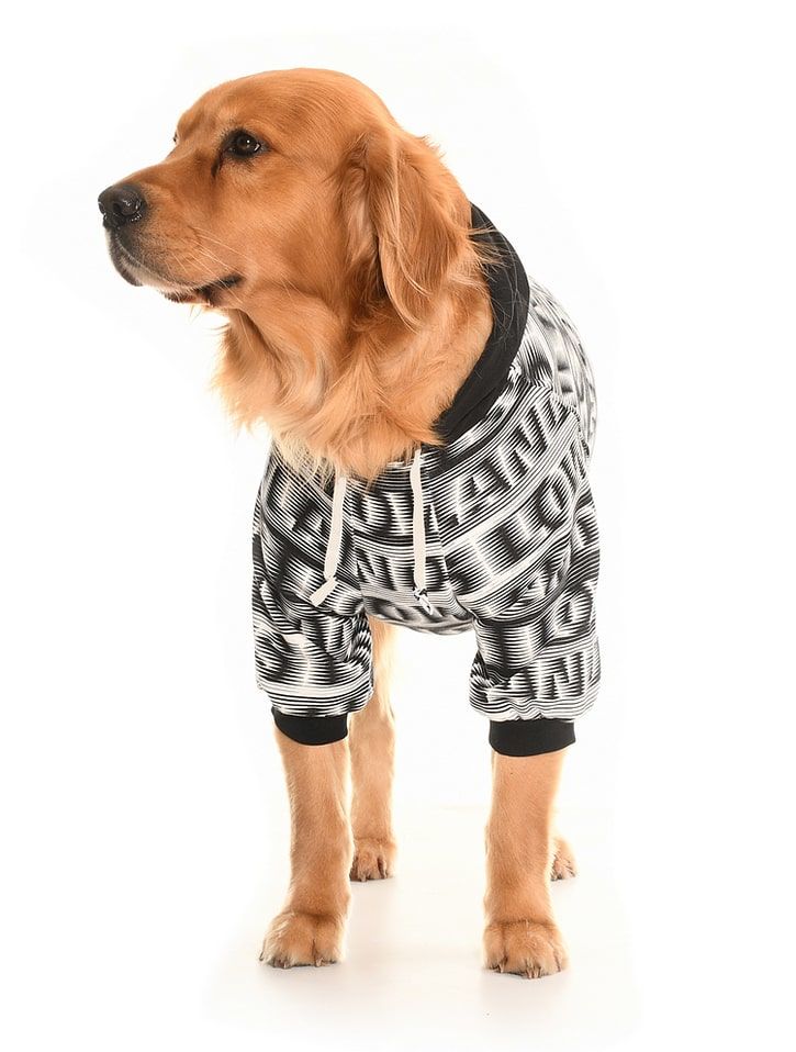 Orta ve Büyük Irk Sweatshirt - Astra