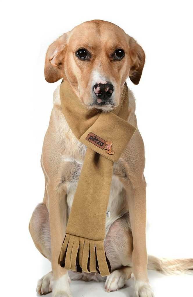 Polar Köpek Atkısı - Bia