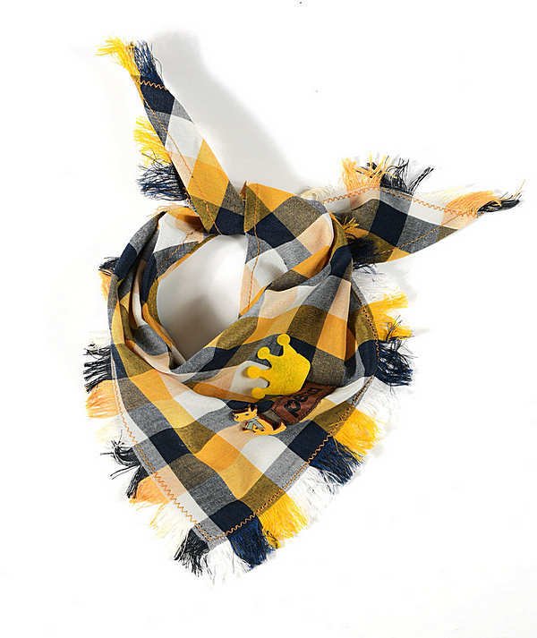 Köpek Bandana / Koal