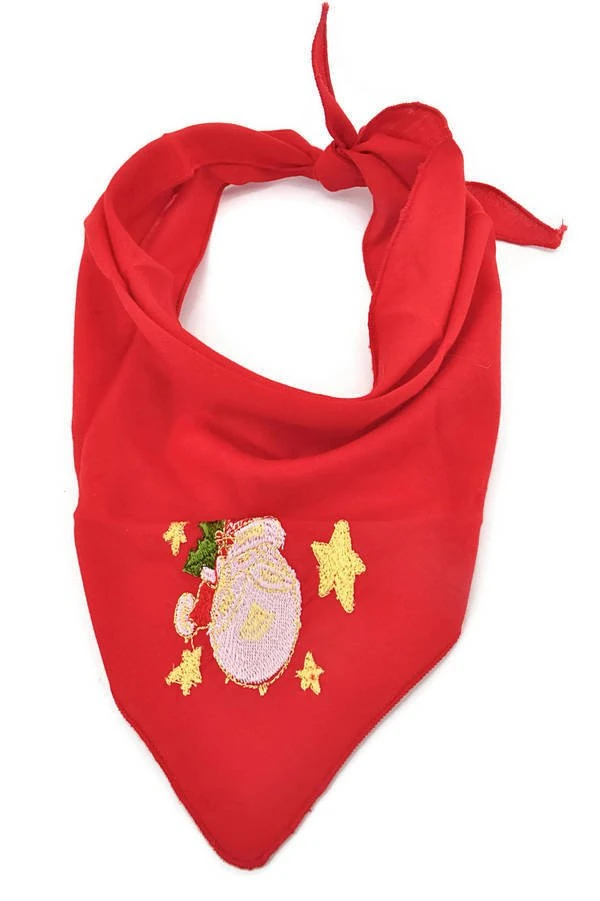 Köpek Bandana / Morgat