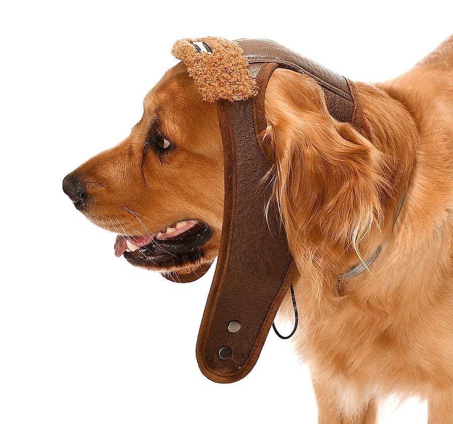 Küçük Orta ve Büyük Irk Köpek Şapka Pilot Kahve