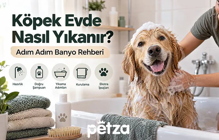 Köpek Evde Nasıl Yıkanır