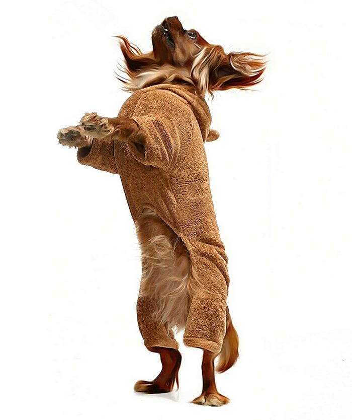 Küçük ve Orta Irk Köpek Pijama Polar Tulum - Yumbo Kahverengi - Köpek Kıyafeti