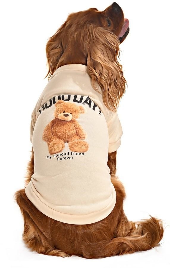 Küçük ve Orta Irk Köpek Sweater - Lammi