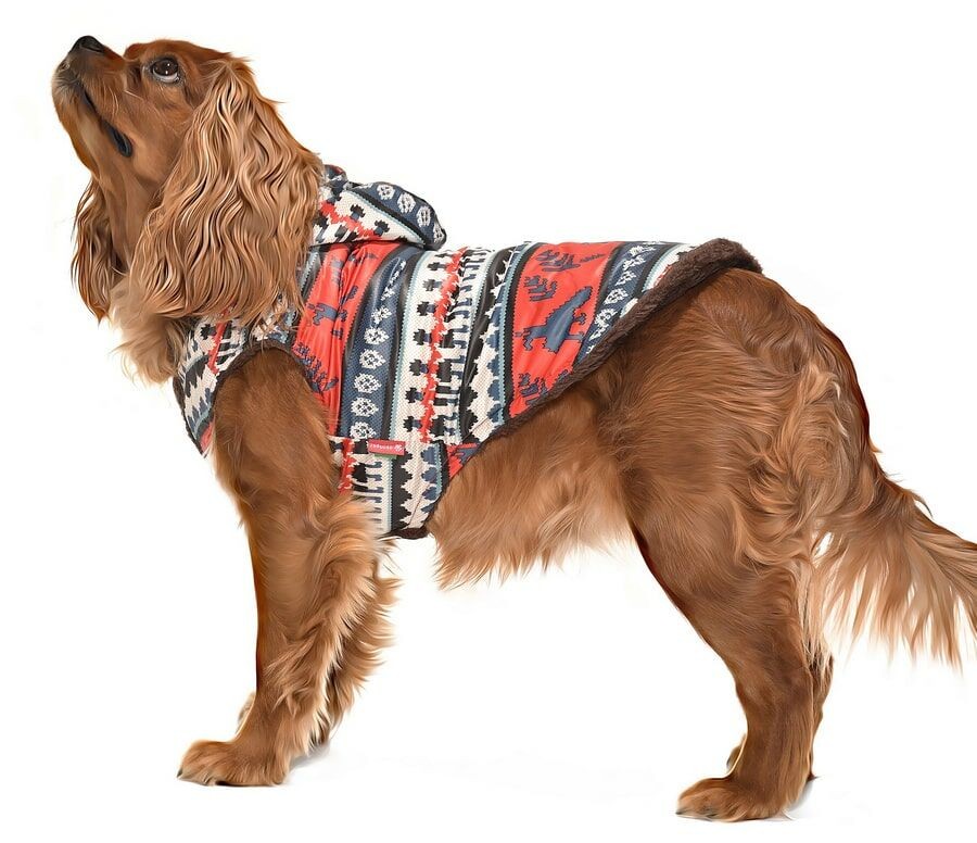 Köpek Küçük ve Orta Irk Mont  Reindeer  Dışı Yağmurluk İçi Polar