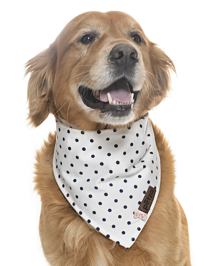 Köpek Bandana / Aragog