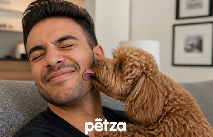 Köpeğim Beni Gerçekten Seviyor Mu?