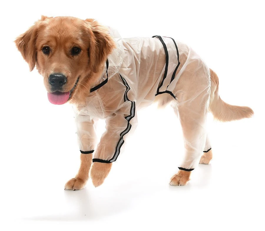 Büyük Irk Paçalı Şeffaf Köpek Yağmurluk - Rinda