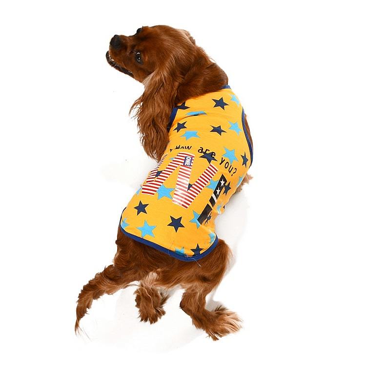 Küçük ve Orta Irk Köpek T-shirt Ditte