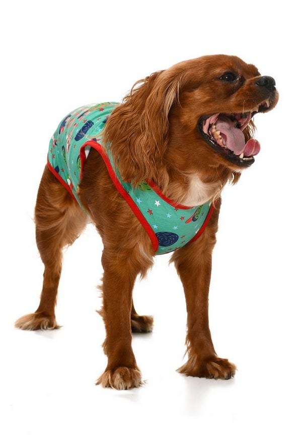 Küçük ve Orta Irk Köpek T-shirt Mari