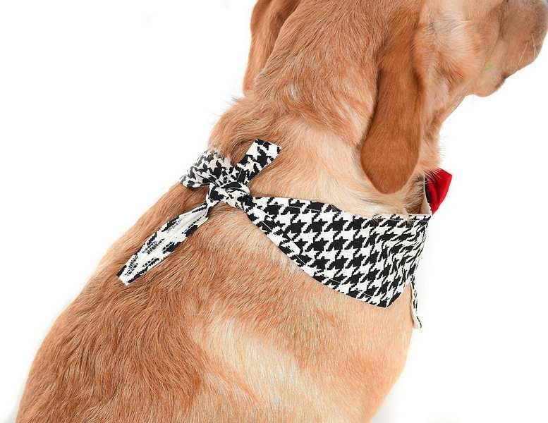 Orta ve Büyük Irk Köpekler için Yakalık Bandana Morjop