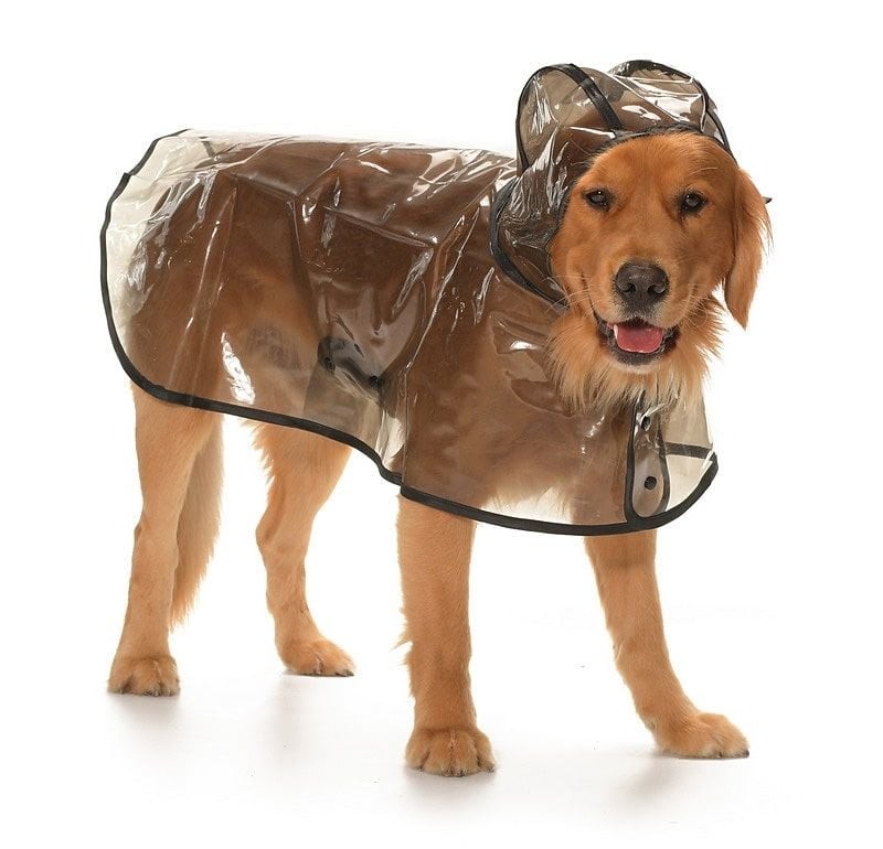 Köpek Büyük Irk Yağmurluk Otso Şeffaf Siyah
