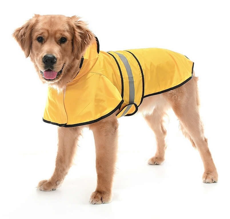 Köpek Büyük ve Orta Irk Yağmurluk Ekon Sarı