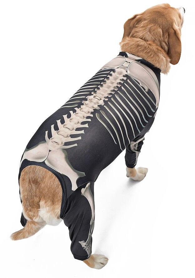 Orta ve Büyük Irk Köpek Tulum - Skeleton