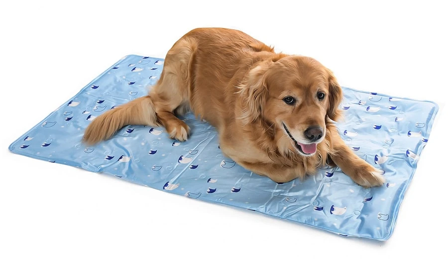 Köpek Serinletici - Soğutucu Yatak 2XLarge 70x120 cm