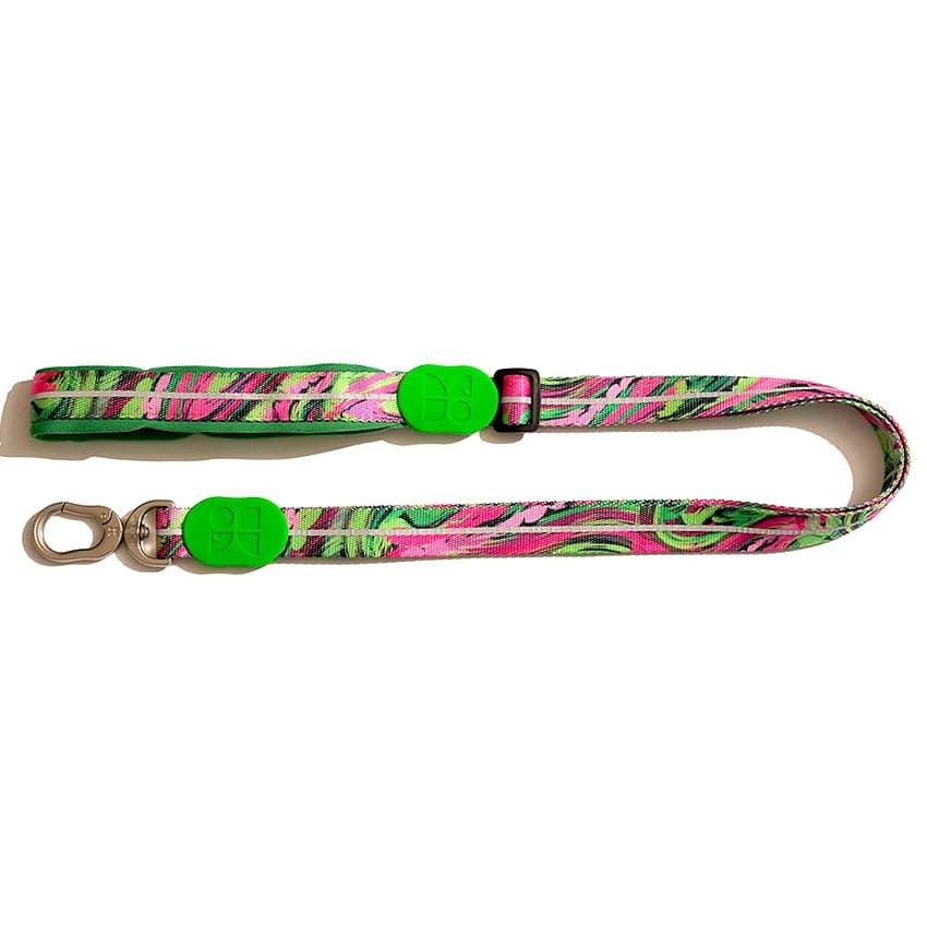 Köpek Gezdirme Tasması Hi Dream Aurora Series Neon