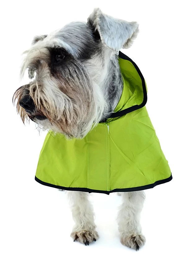 Köpek Küçük ve Orta Irk Yağmurluk Ekon Yeşil