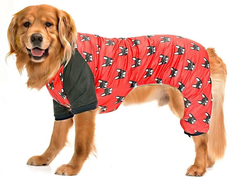 Büyük Irk Paçalı Köpek Mont - Duma Kırmızı