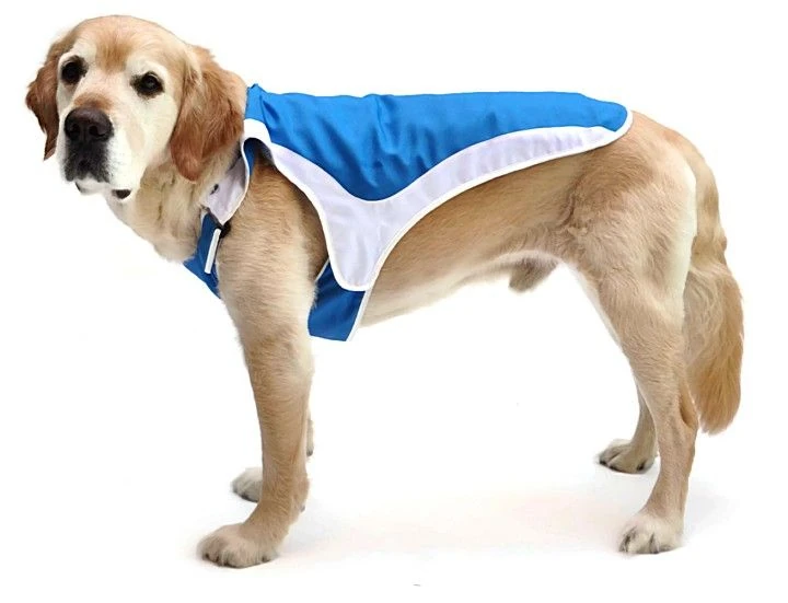 Köpek Soğutucu Yelek