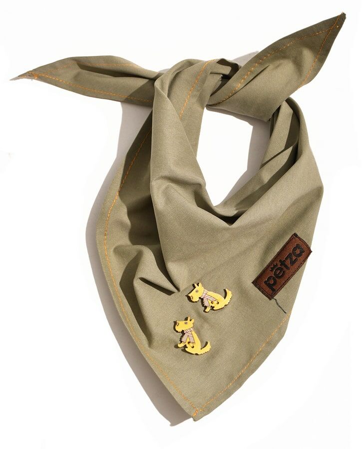 Köpek Bandana / Valma