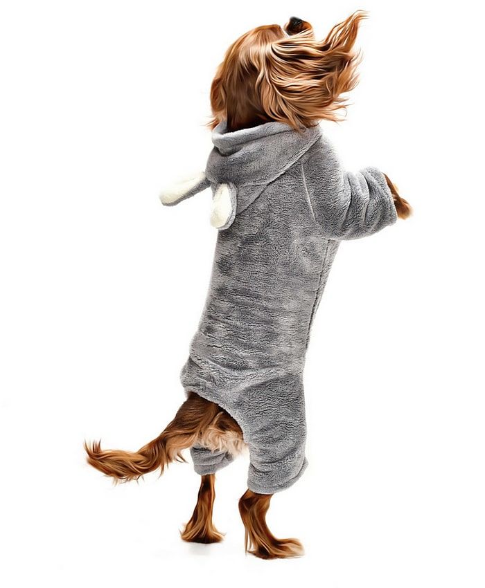 Küçük ve Orta Irk Köpek Pijama Polar Tulum - Yumbo Gri - Köpek Kıyafeti