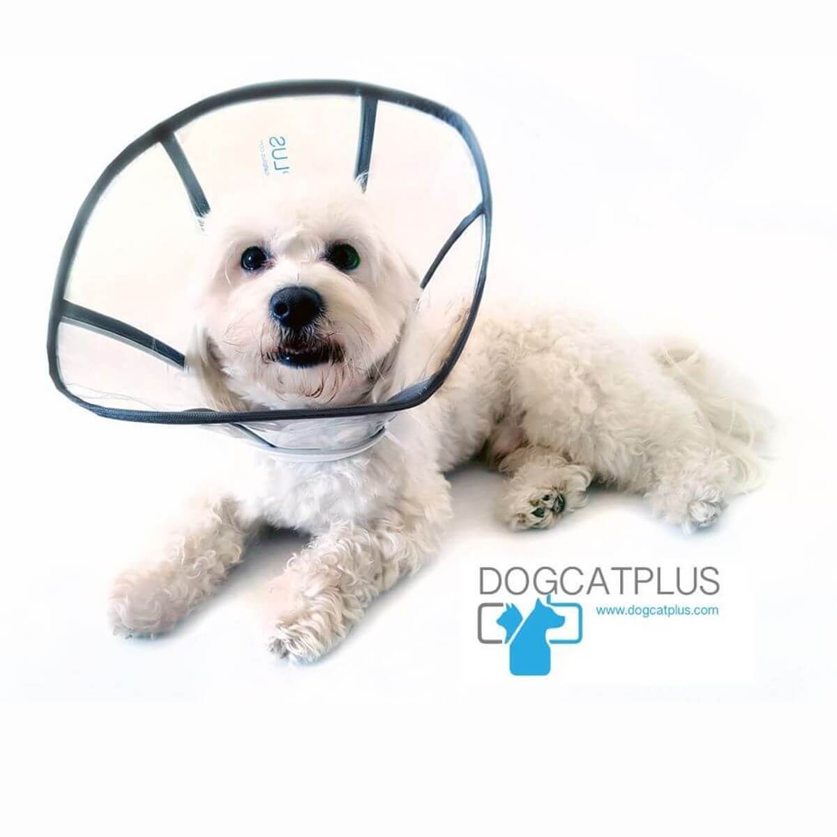 DogCatPlus Elizabeth Şeffaf Yakalık  MEDİUM