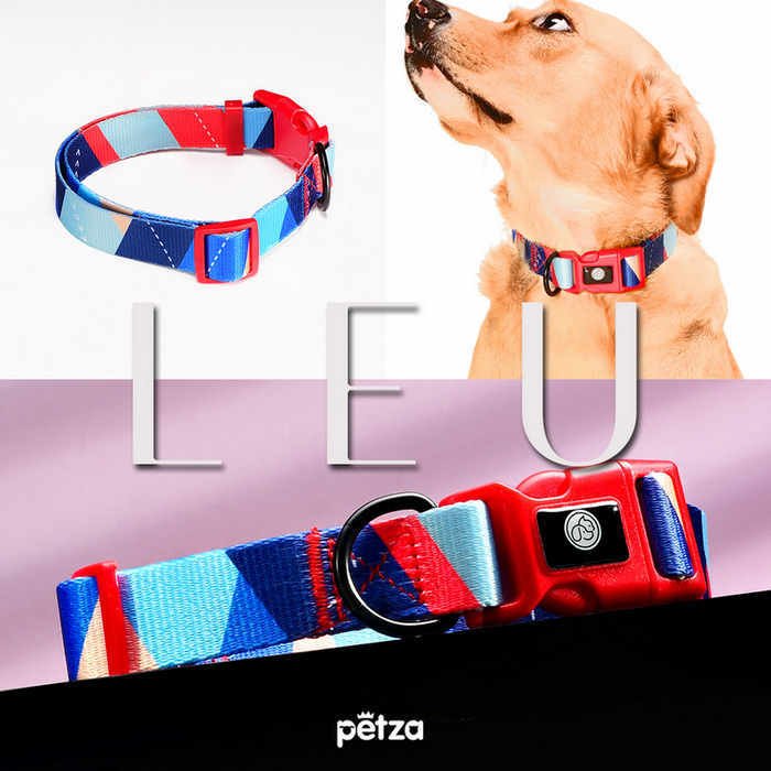 Köpek Boyun Tasması Leu