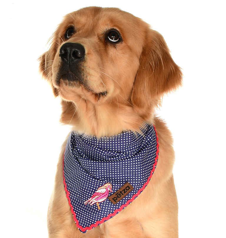 Köpek Bandana / Epix