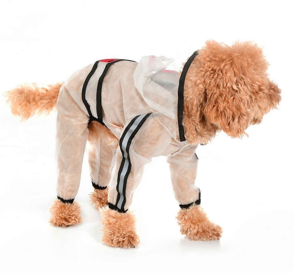 Köpek Küçük ve Orta Irk Paçalı Şeffaf Yağmurluk - Rinda