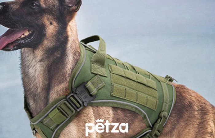 Combat Tactical Köpek Göğüs Tasması Yeşil - Petza