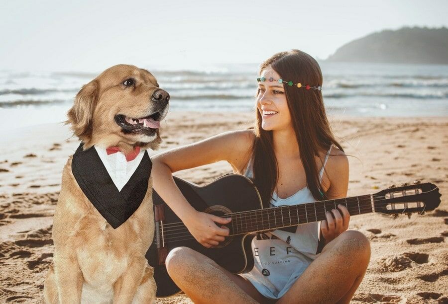 Köpek Smokin Yakalık - Mr.Homer