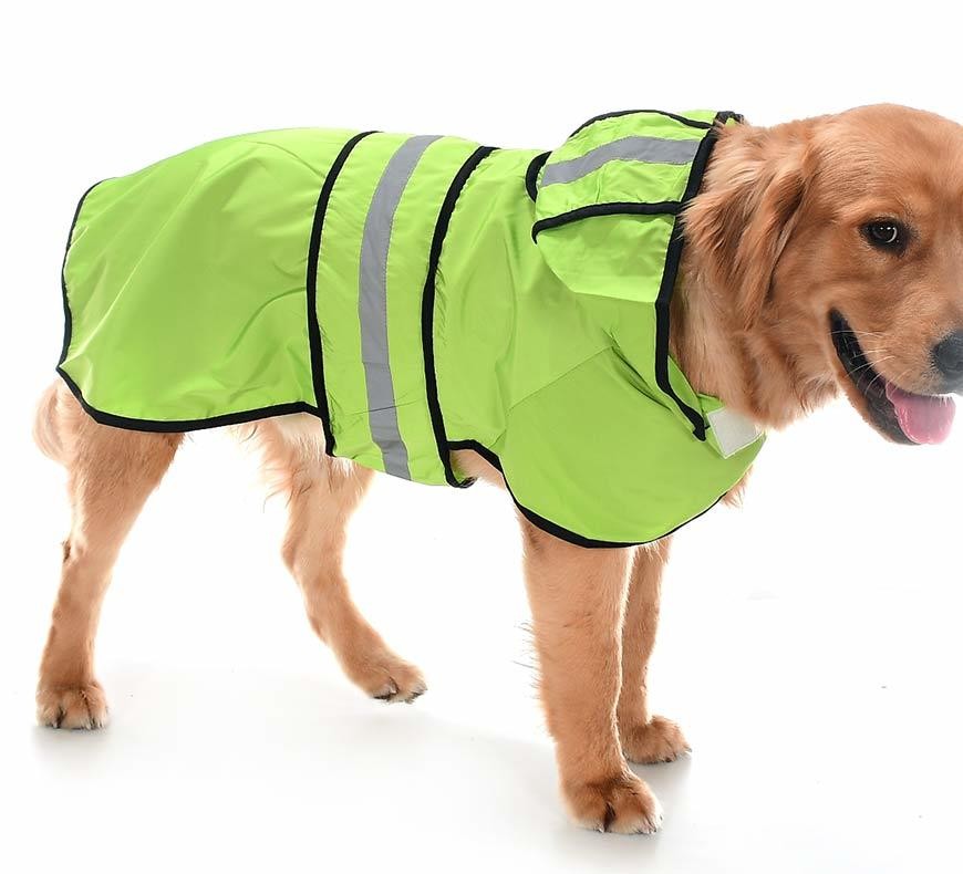Köpek Büyük ve Orta Irk Yağmurluk Ekon Yeşil